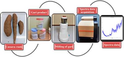 Prediction of functional characteristics of gari (cassava flakes) using near-infrared reflectance spectrometry